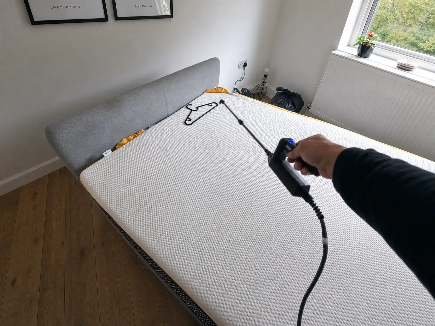 Bed Bug Control London